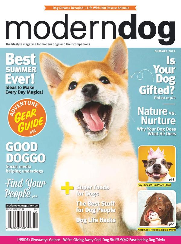 Boredom Busters  Modern Dog magazine
