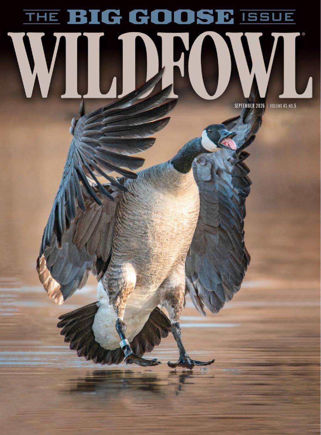 Wildfowl Magazine Subscription                    September 1st, 2026 Issue
