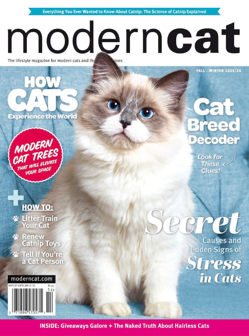 Modern Cat Magazine October 1st, 2025 Issue Cover