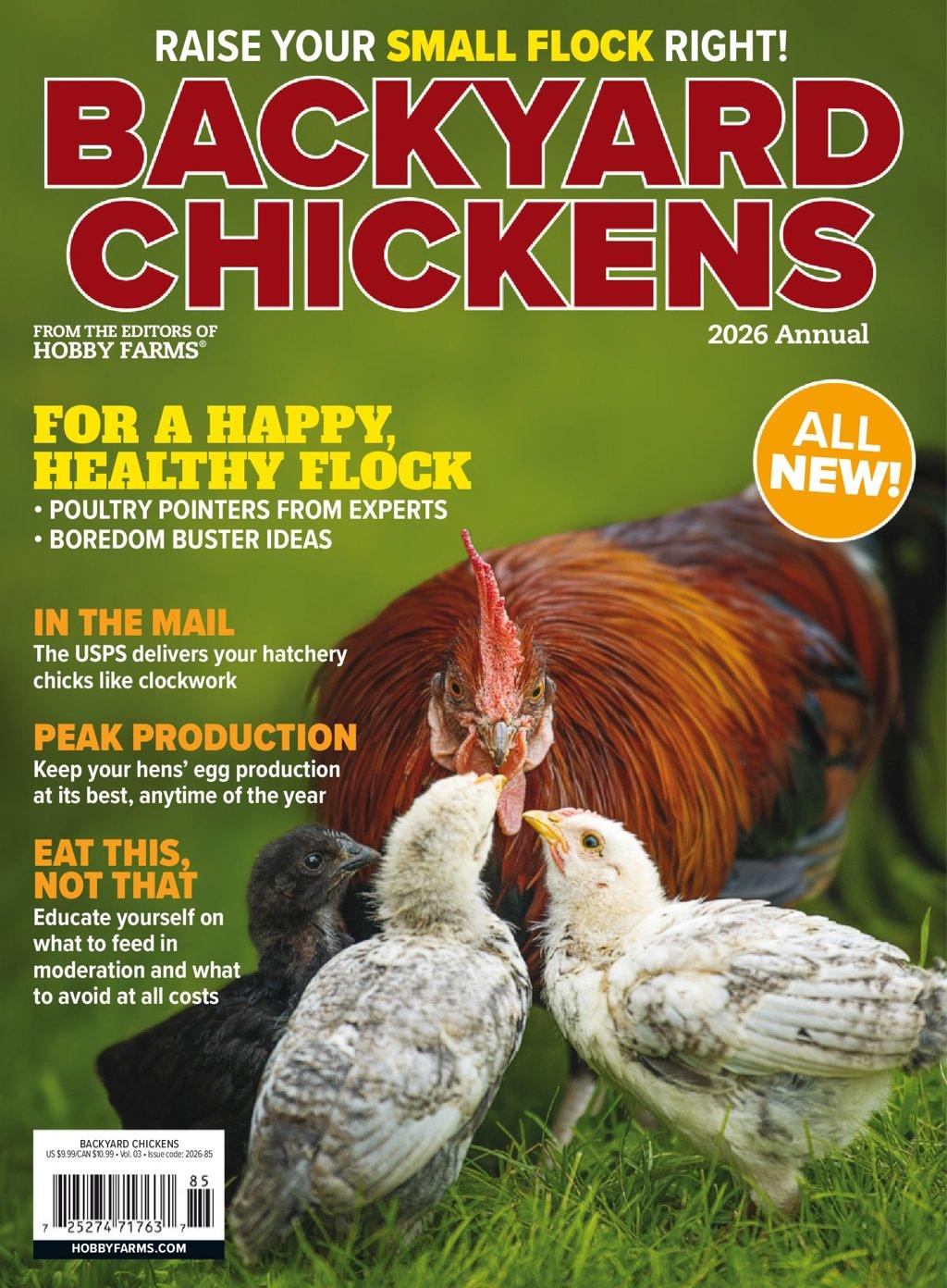 Chickens Magazine January 5th, 2026 Issue Cover