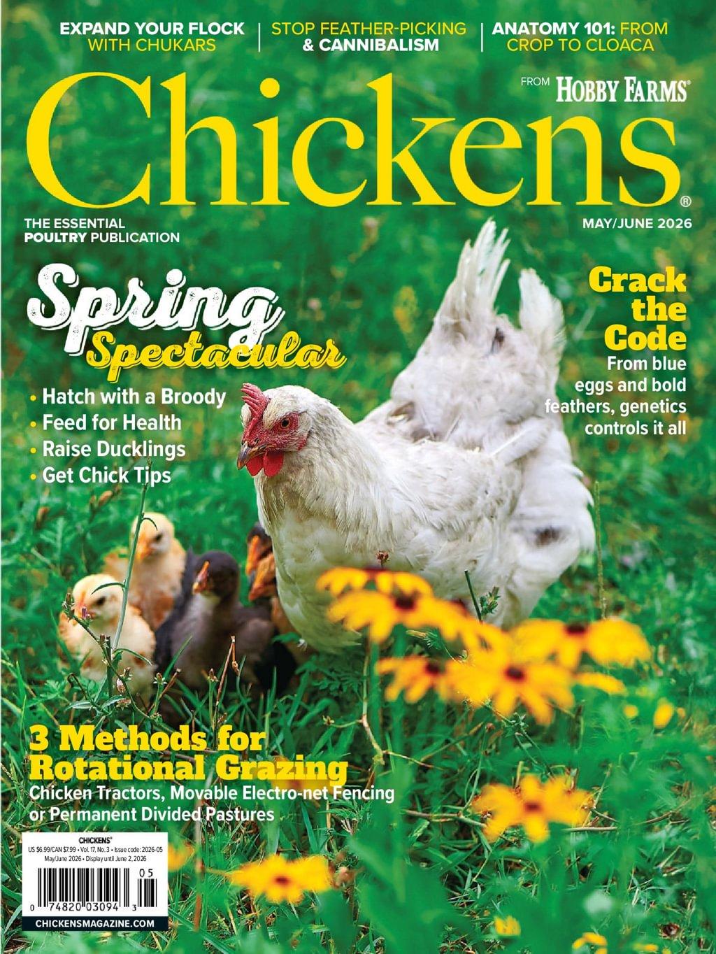 Chickens Magazine May 1st, 2026 Issue Cover