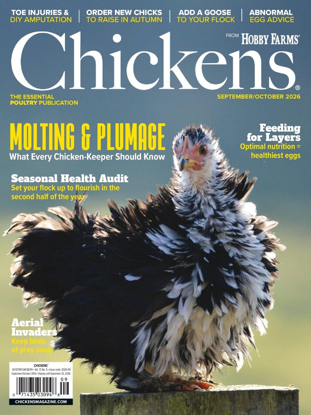 Chickens Magazine September 1st, 2026 Issue Cover