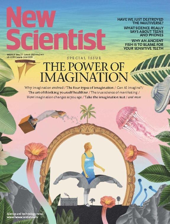 New Scientist Print & Digital