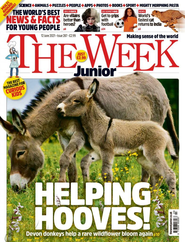the week magazine subscription in india