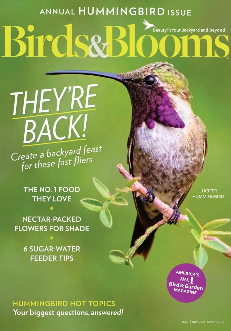 Birds & Blooms Magazine TopMags