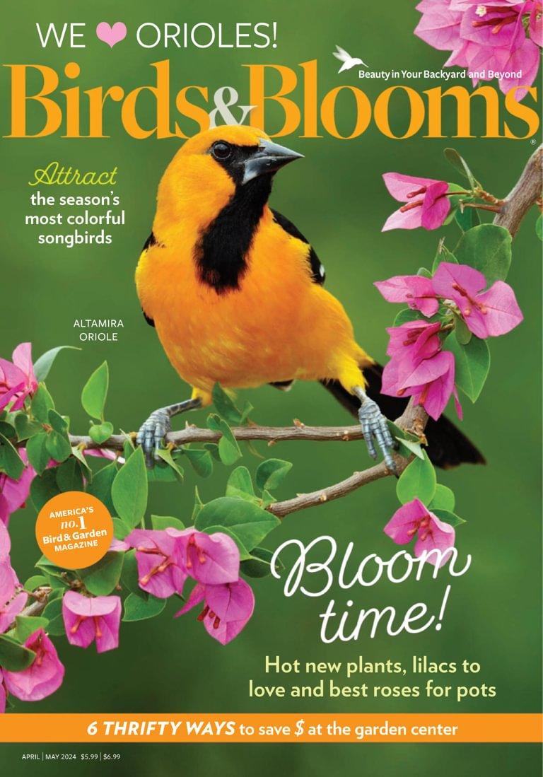 Birds & Blooms