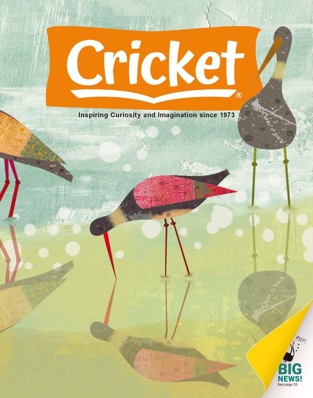 Cricket