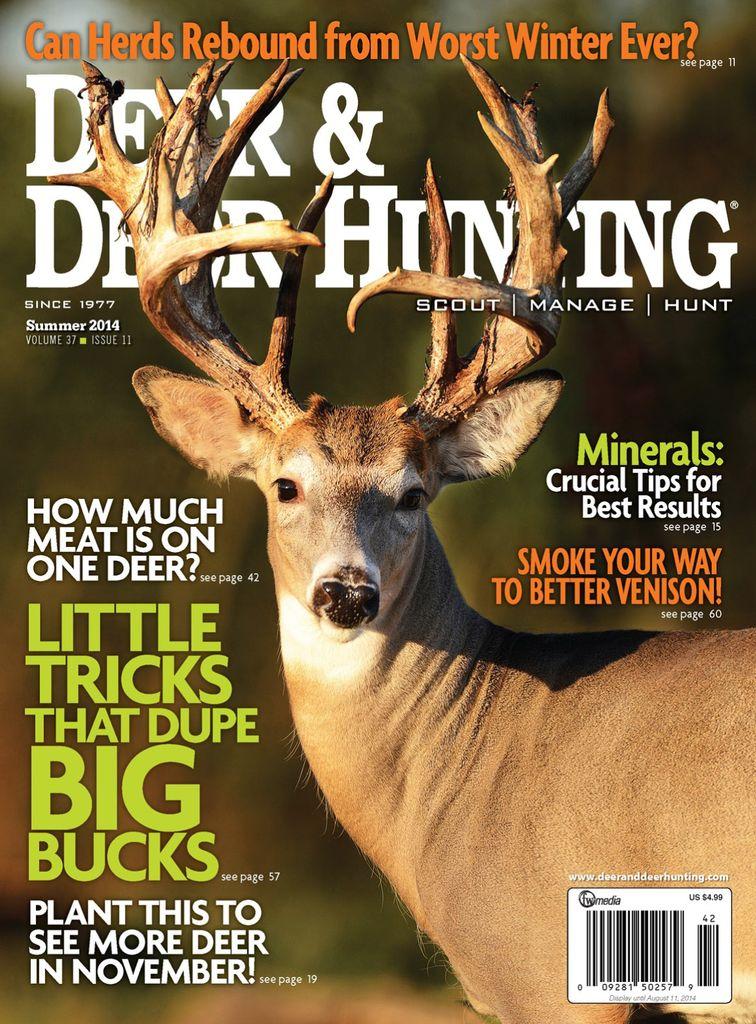Deer & Deer Hunting