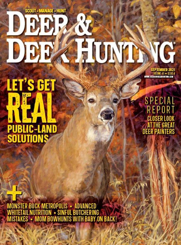 Deer Hunting Magazine Capacity Alabama Deer Hunting Magazine Capacity Alabama