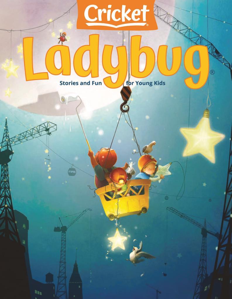 Ladybug
