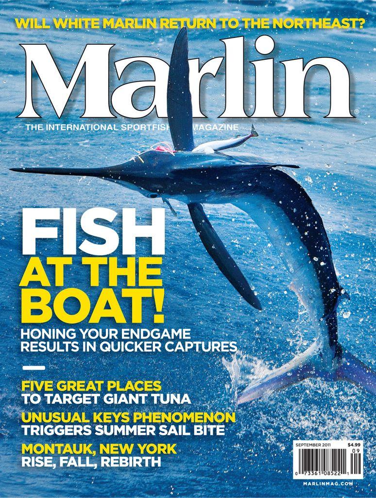Marlin