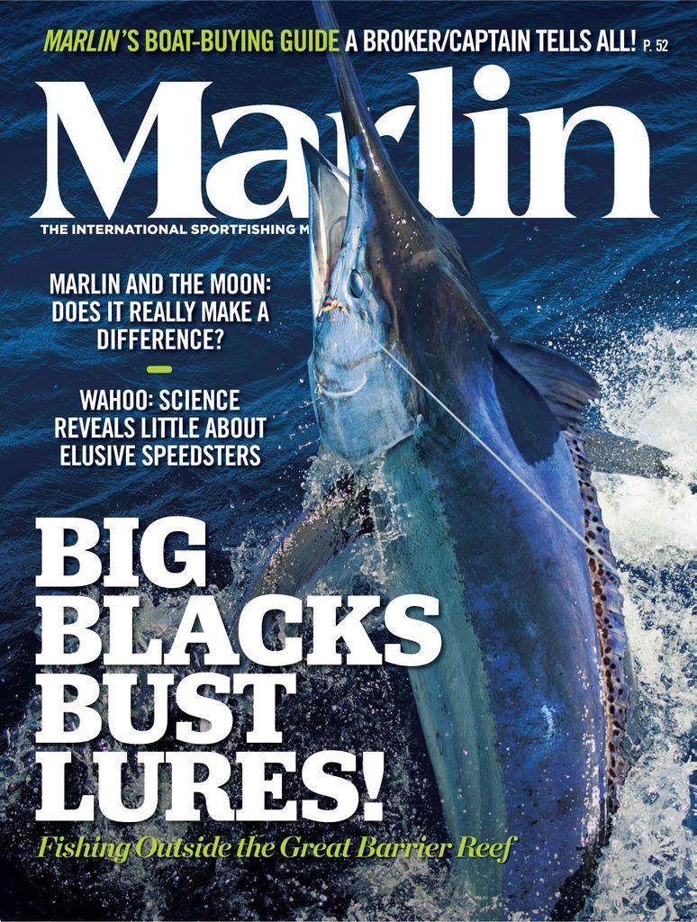 Marlin