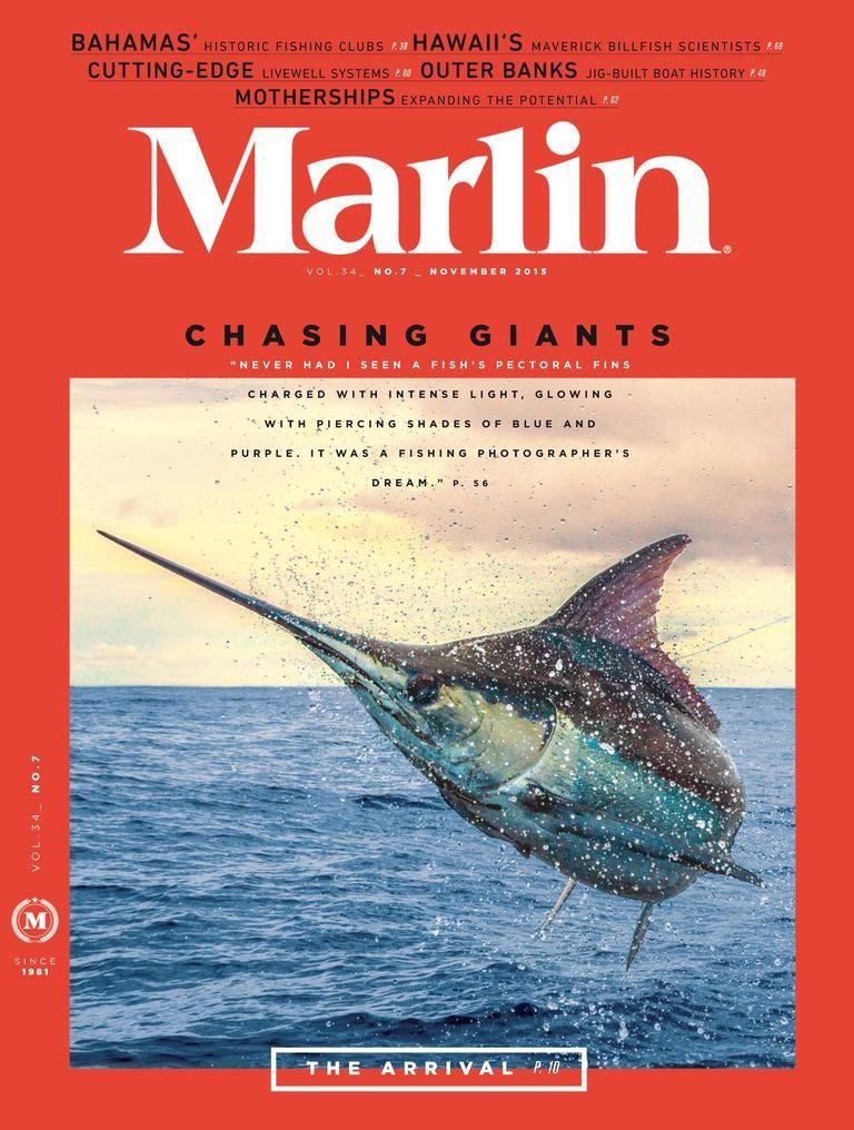 Marlin