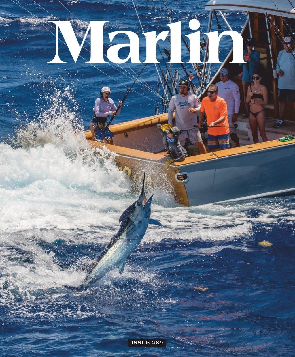 Marlin