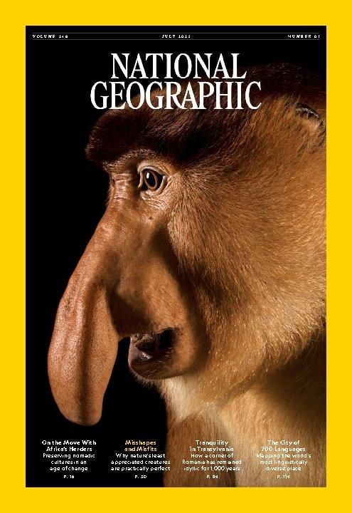 National Geographic Magazine英語版 2010 National Geographic Magazine: Mount St. Helens New Life
