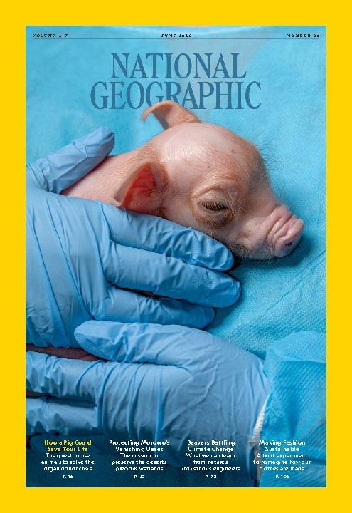 National Geographic Magazine英語版 National Geographic Magazine - Oct 2013 - 125th ANNIVERSARY