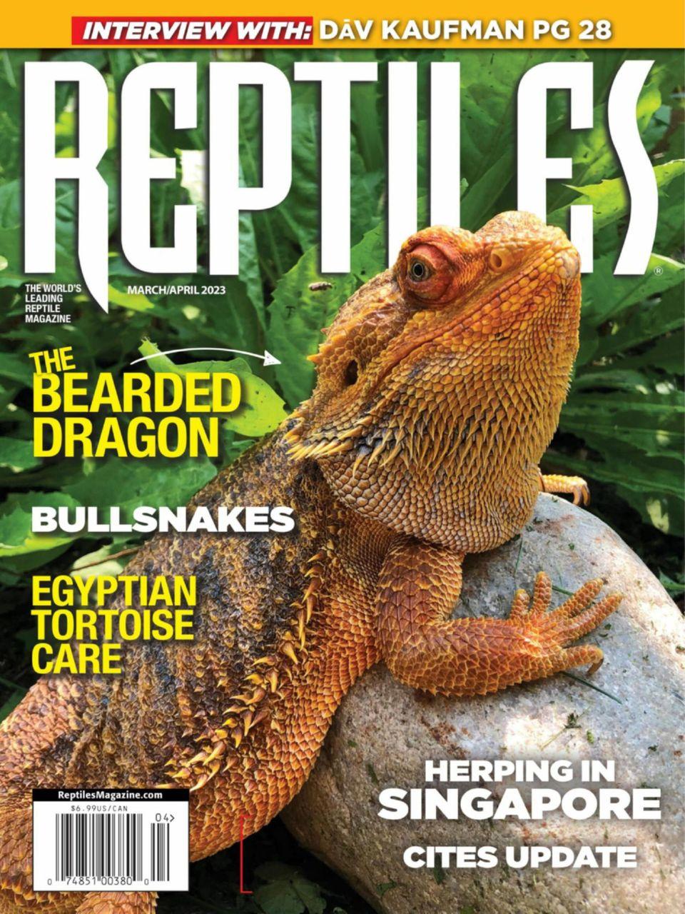 Reptiles