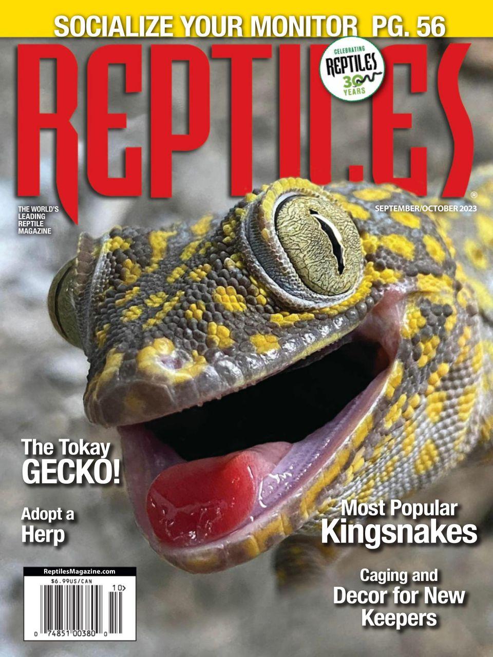 Reptiles