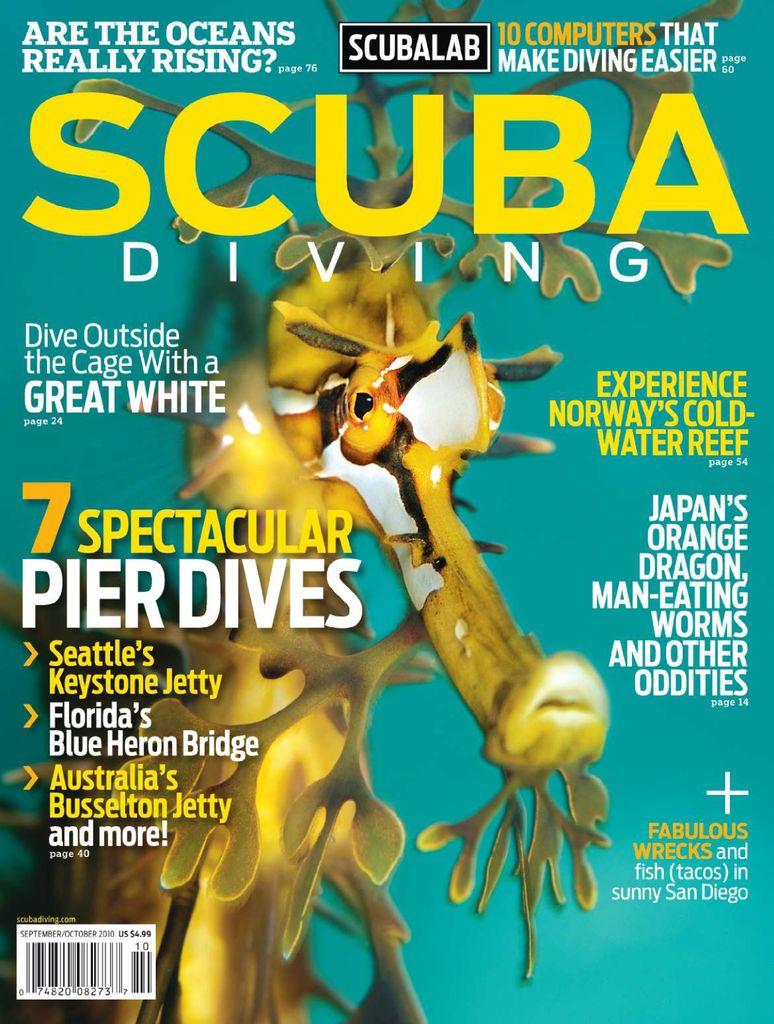 Scuba Diving Magazine | TopMags