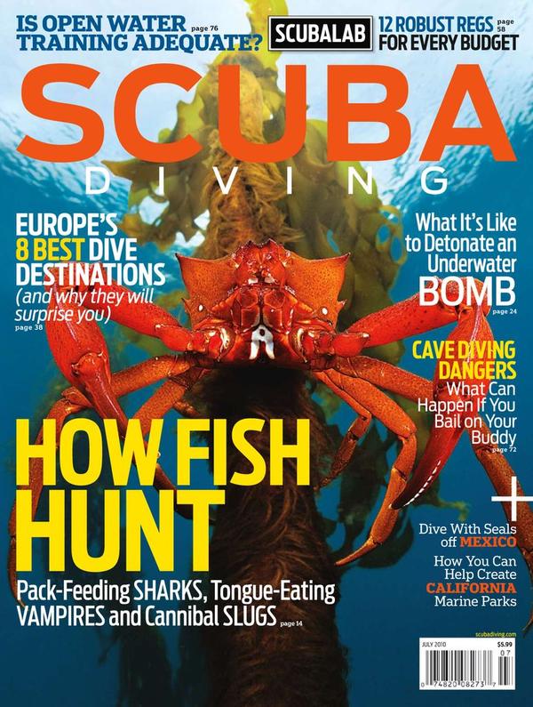 Scuba Diving Magazine | TopMags
