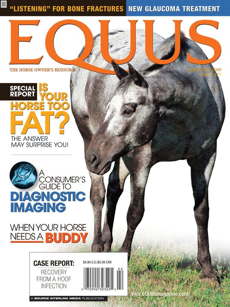 Equus