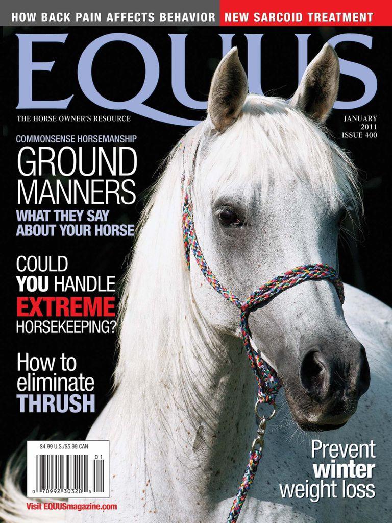 Equus