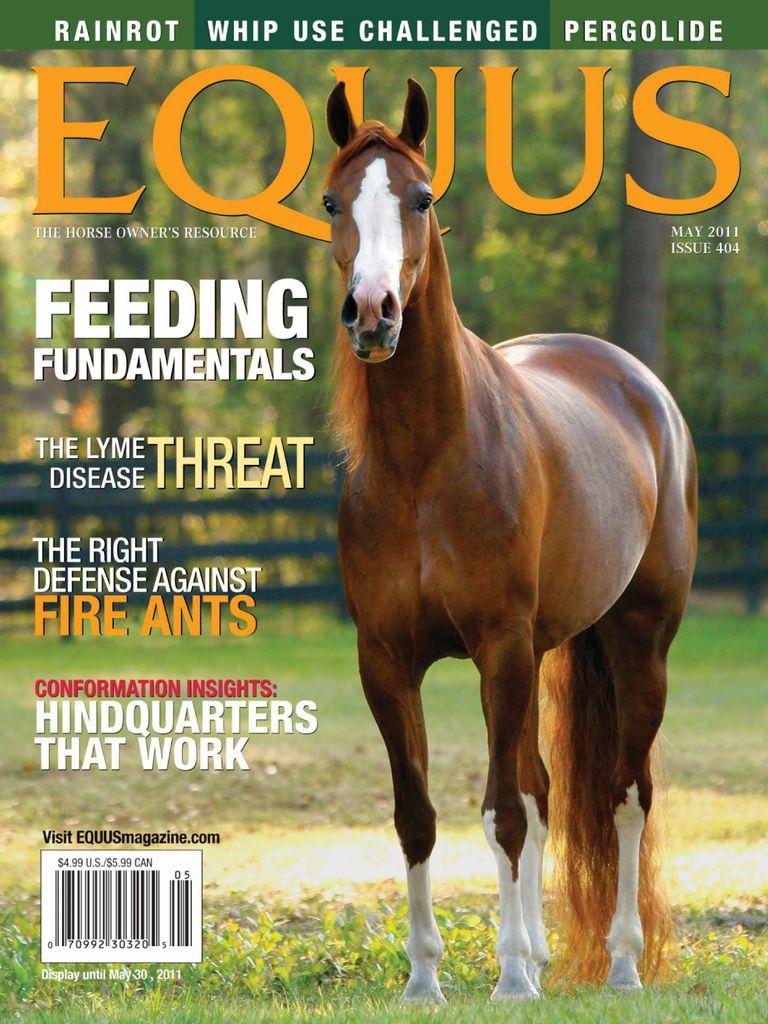 Equus