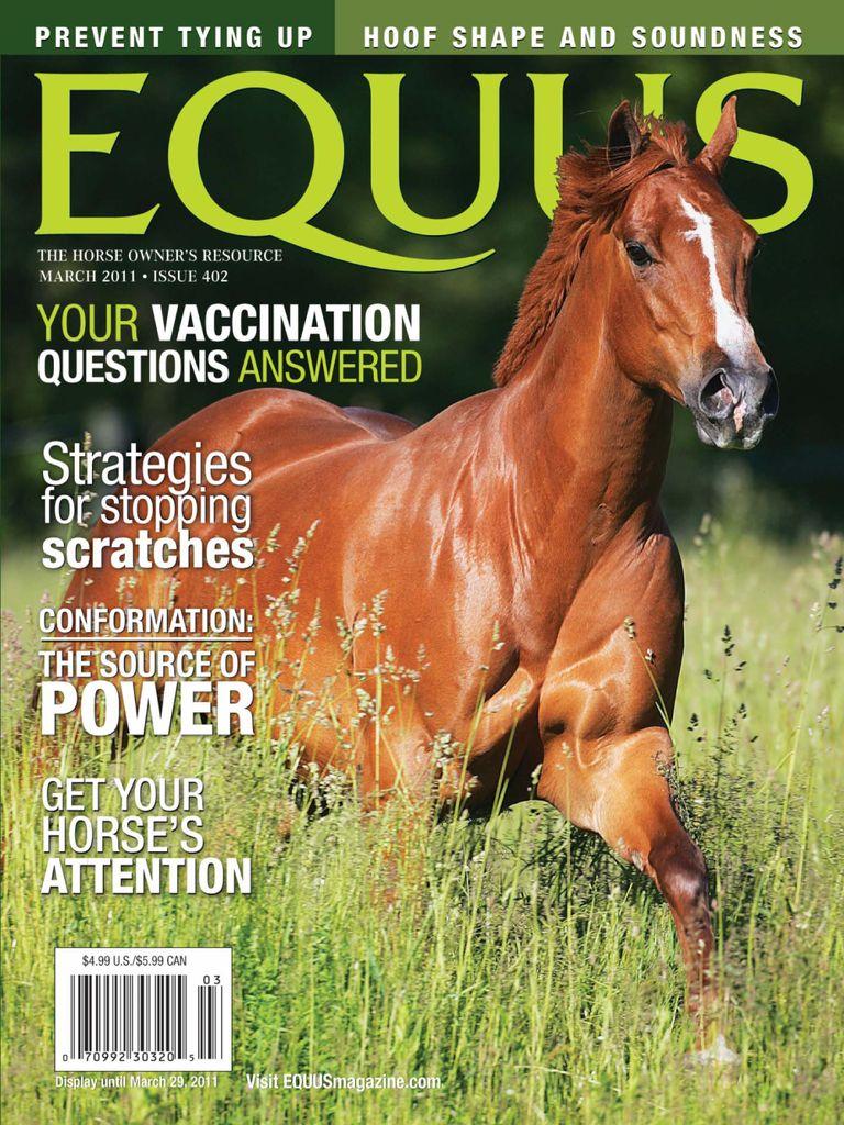 Equus