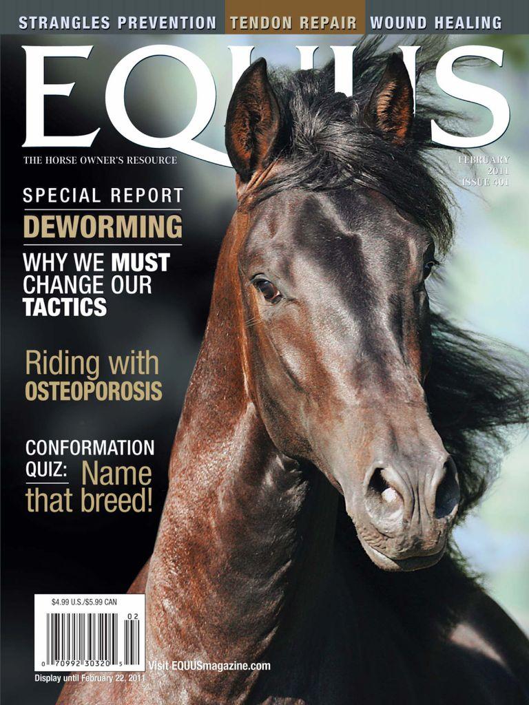 Equus