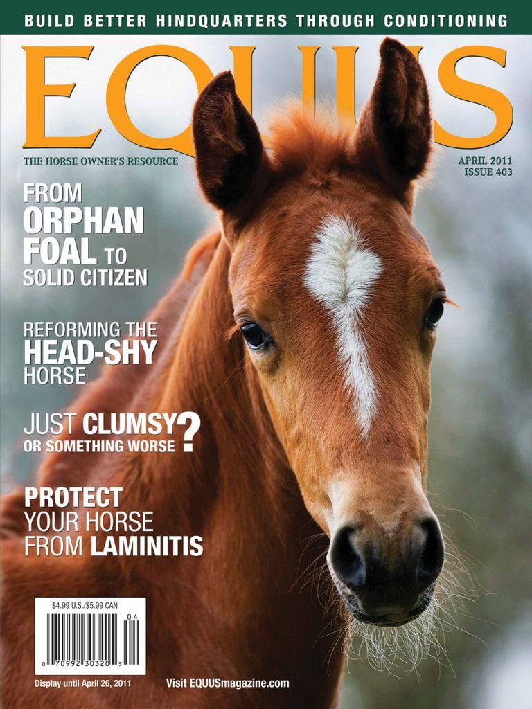 Equus
