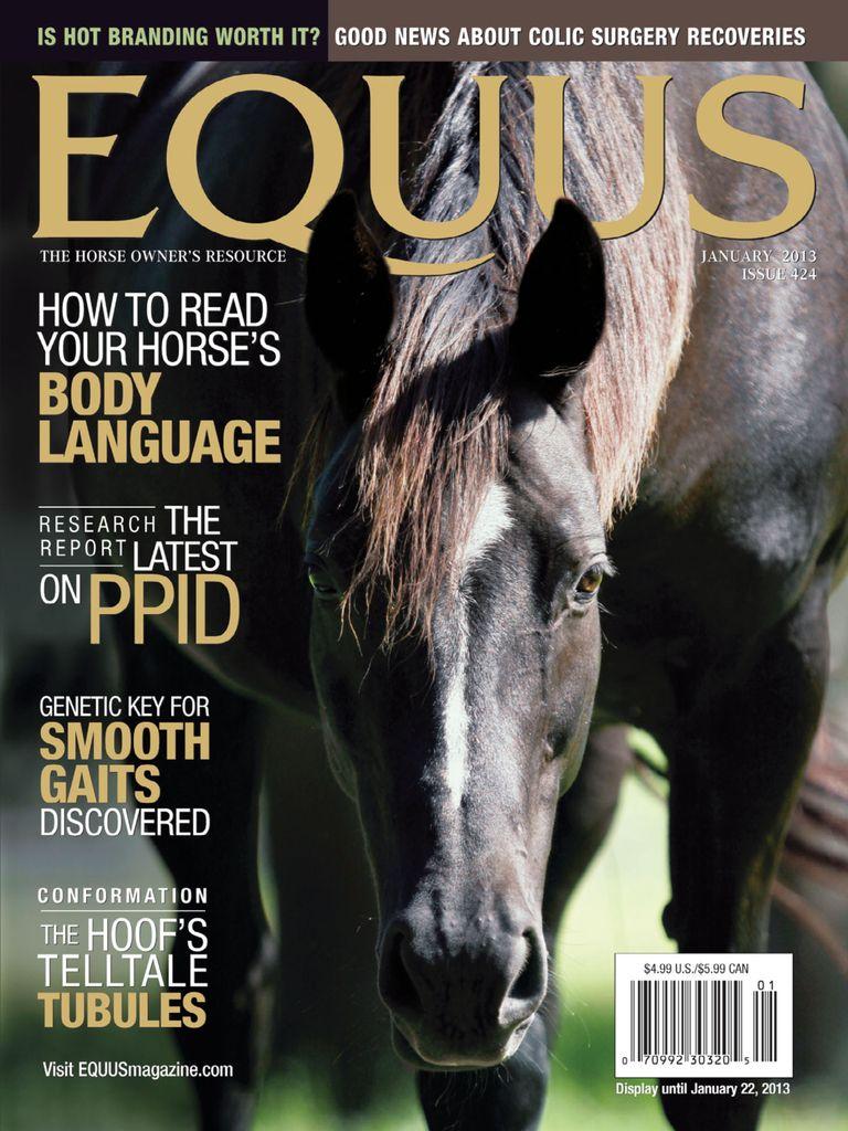 Equus