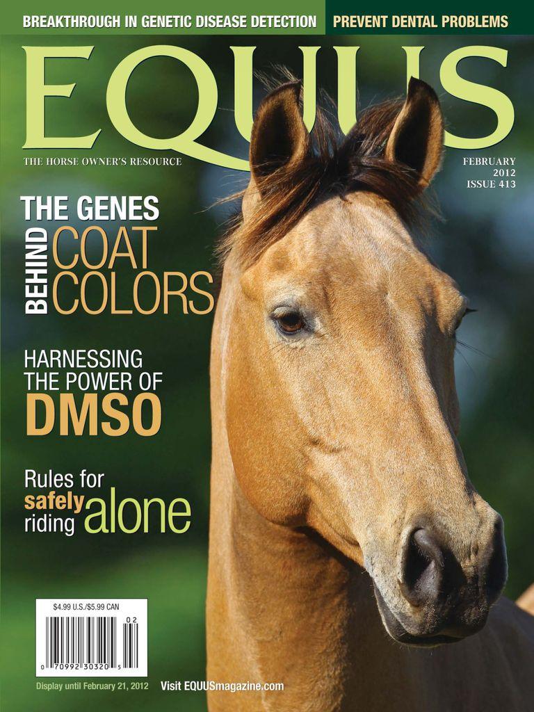 Equus