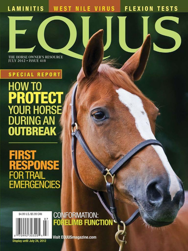 Equus
