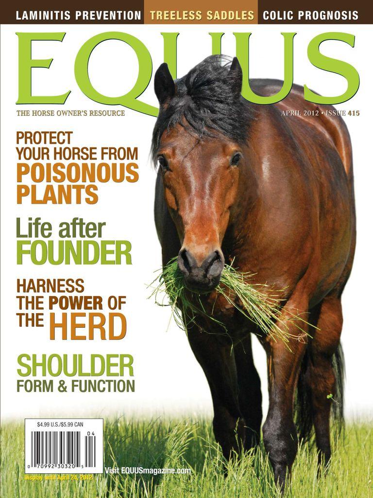 Equus