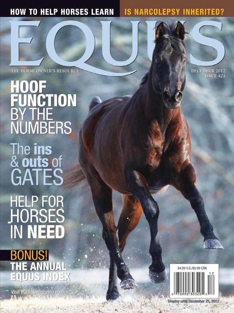 Equus