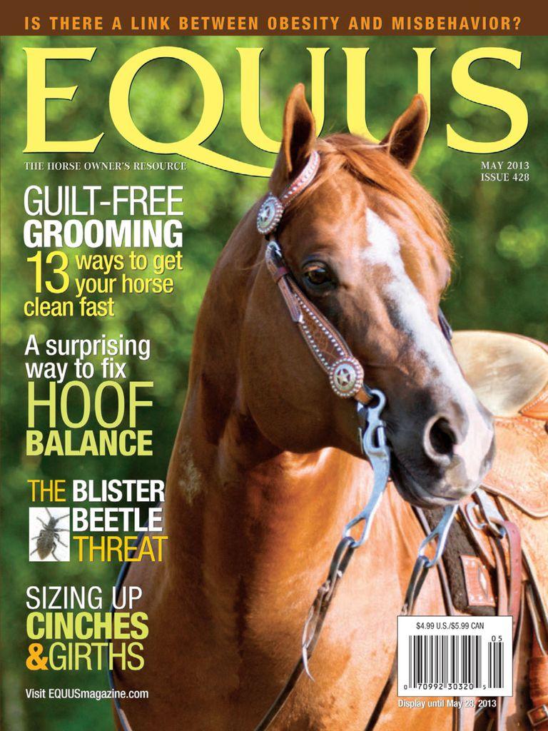 Equus