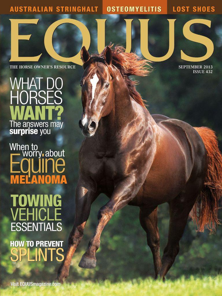 Equus