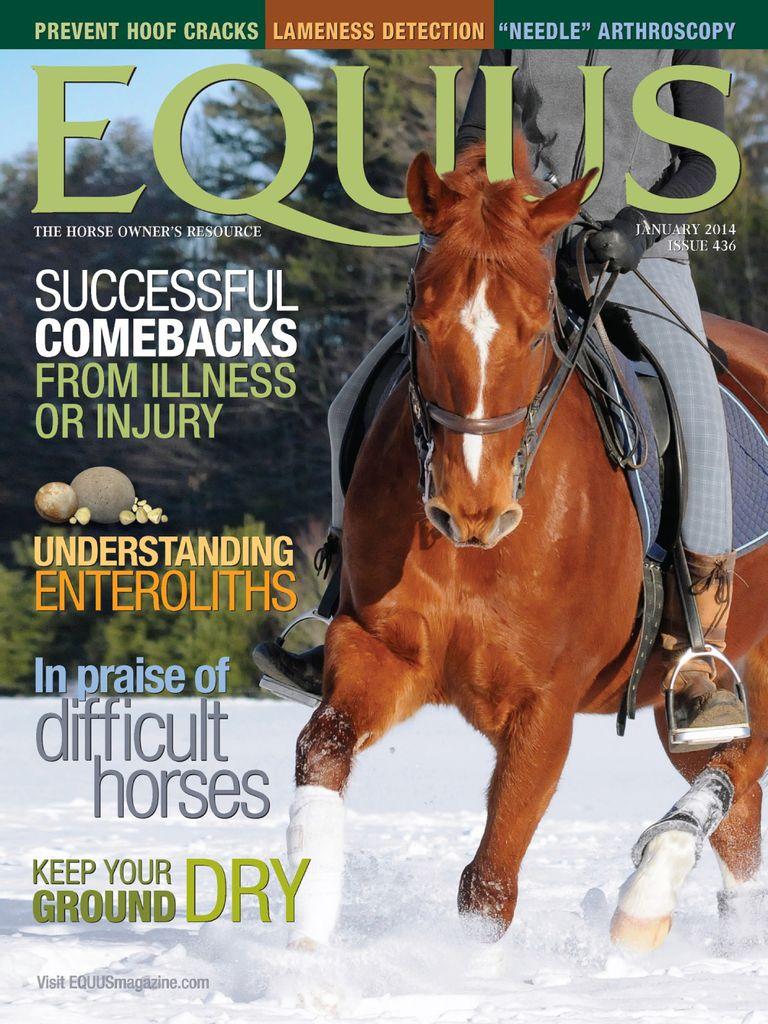 Equus