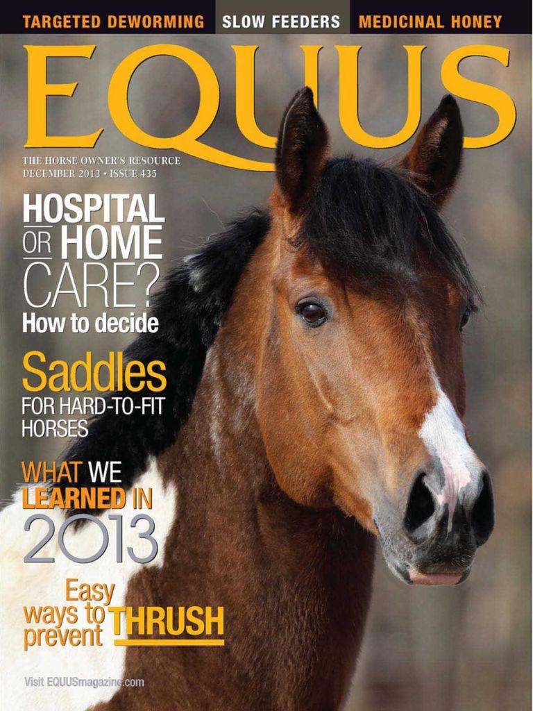 Equus