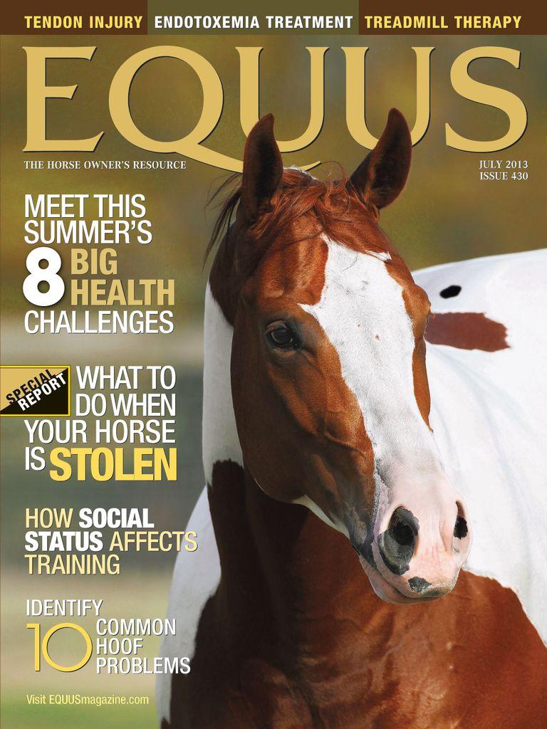 Equus