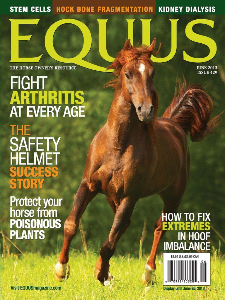 Equus
