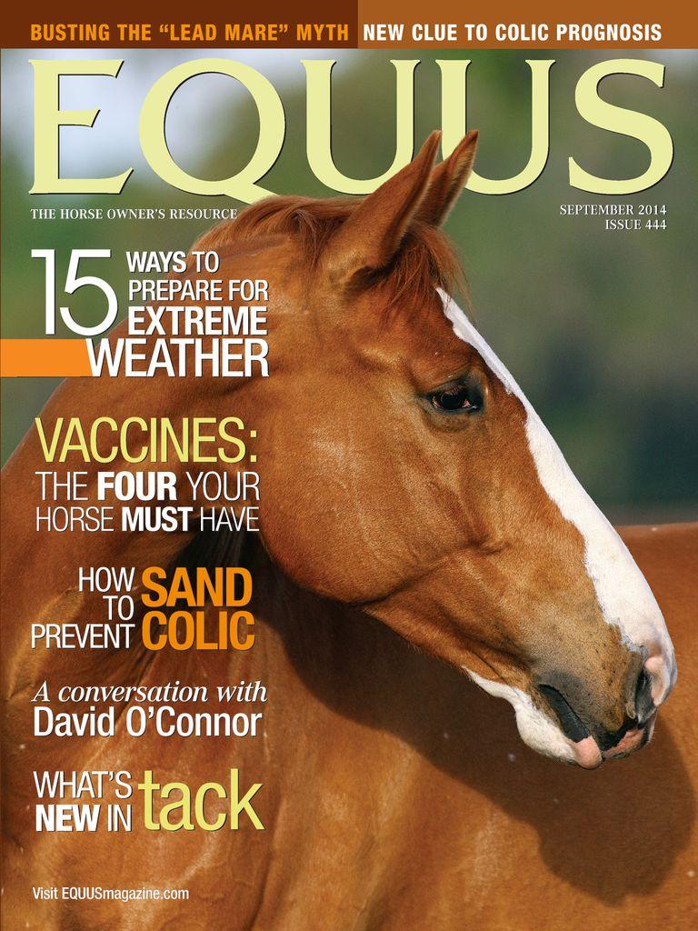 Equus
