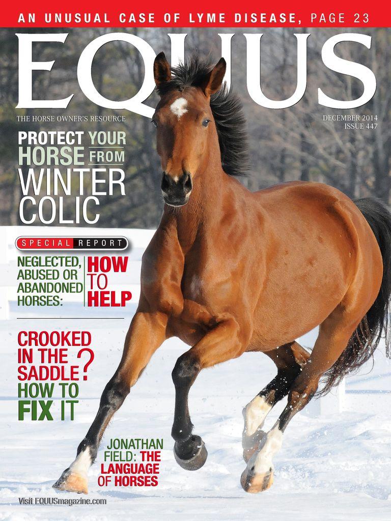 Equus