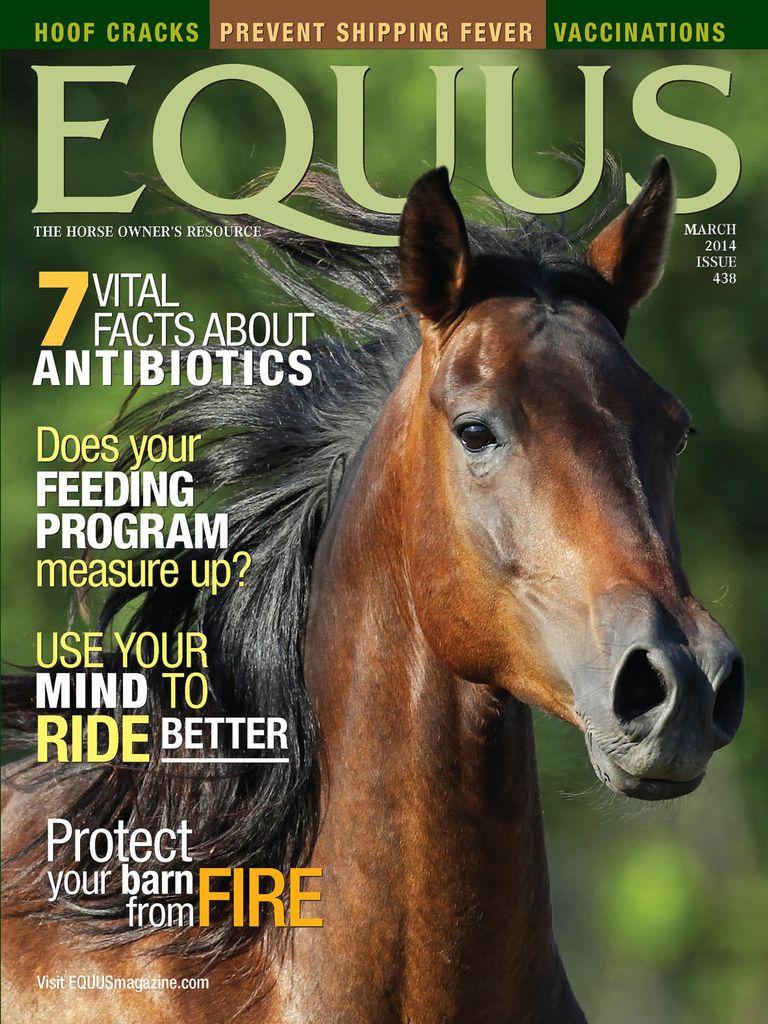 Equus