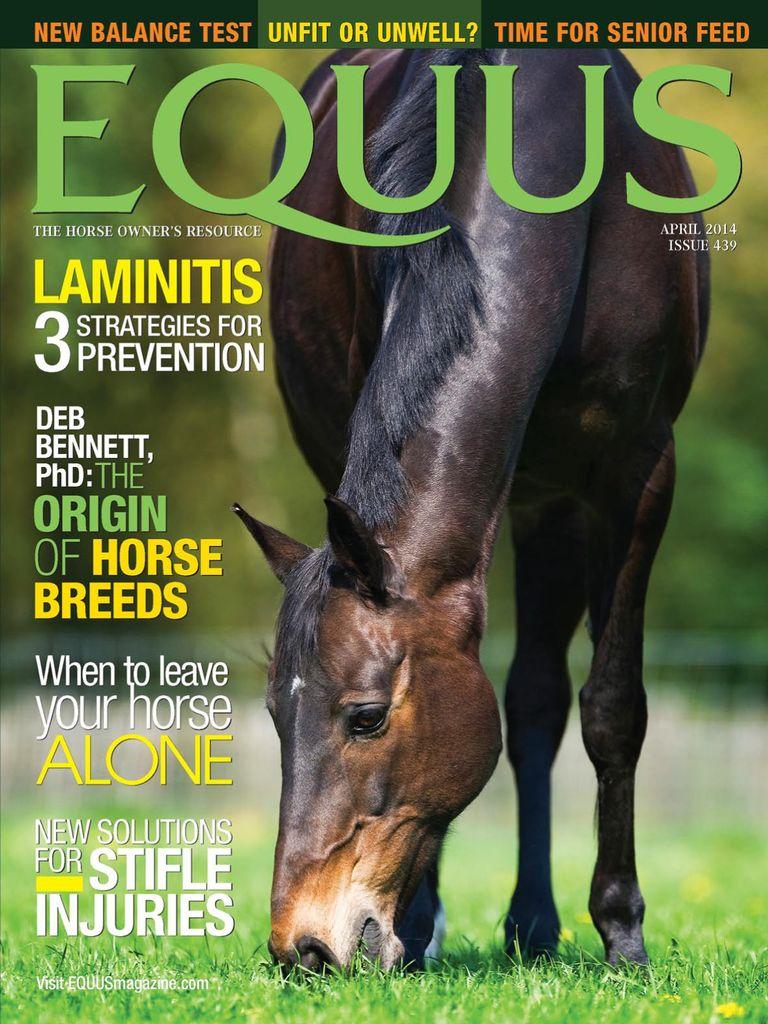 Equus