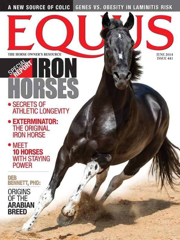 Equus Magazine TopMags