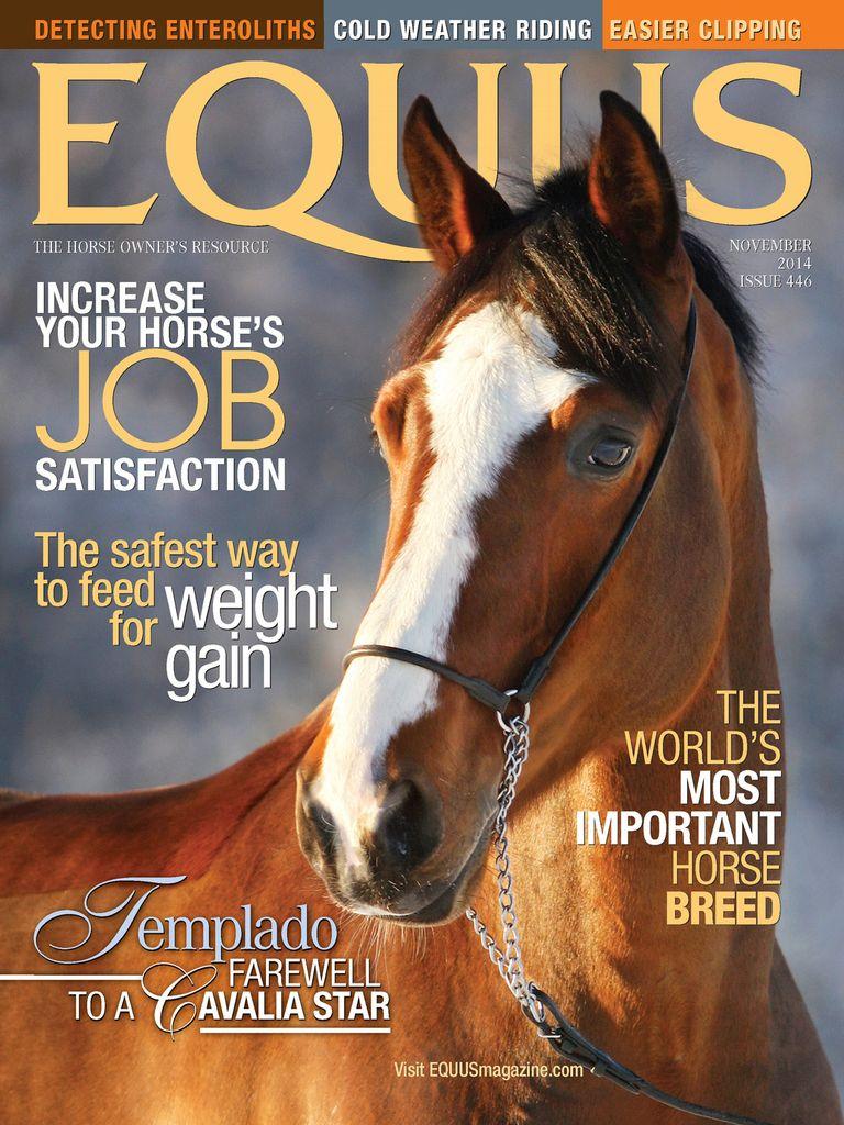 Equus