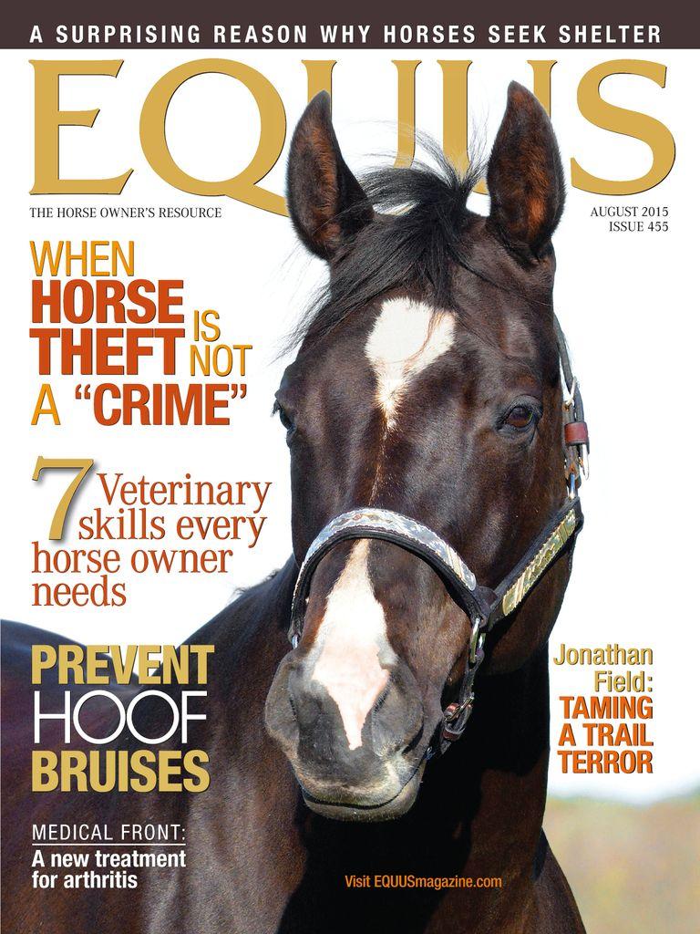 Equus
