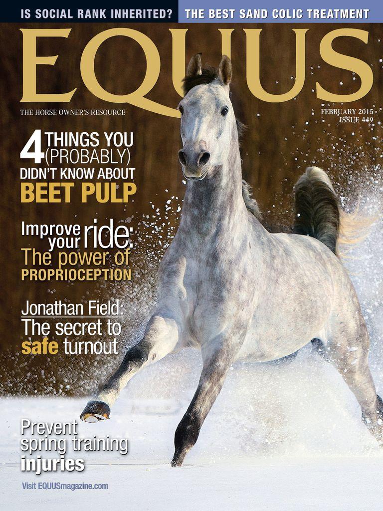 Equus