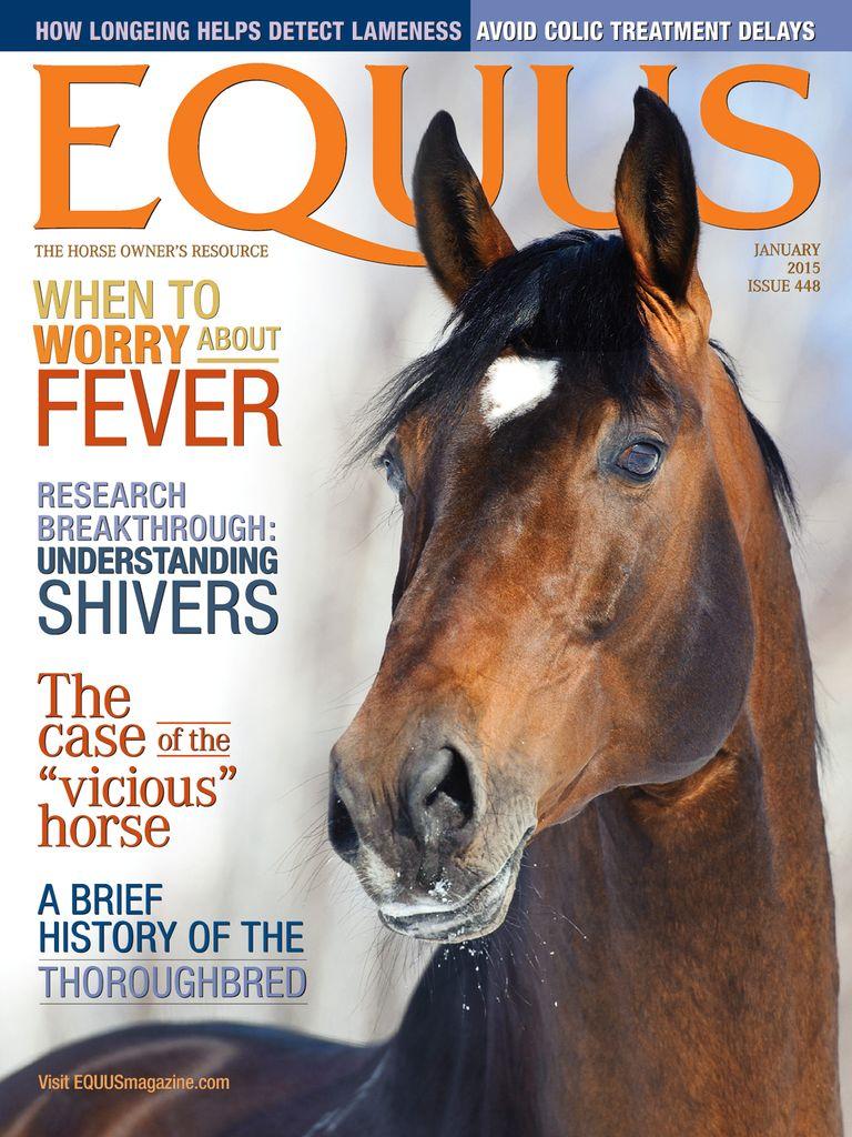 Equus
